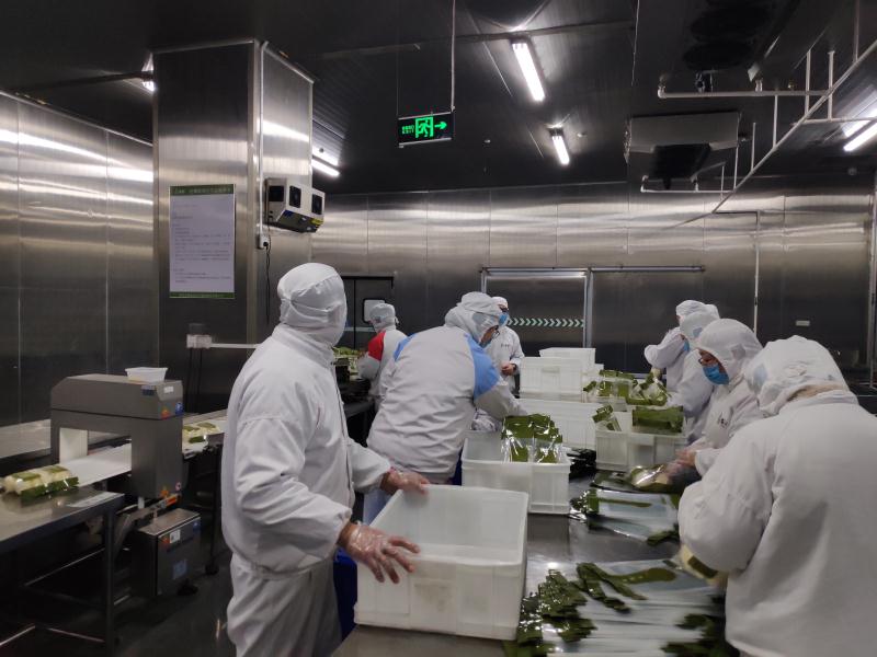 1582876297766775.jpg da4a767882c0a3dd18b4d09c91481e1.jpg