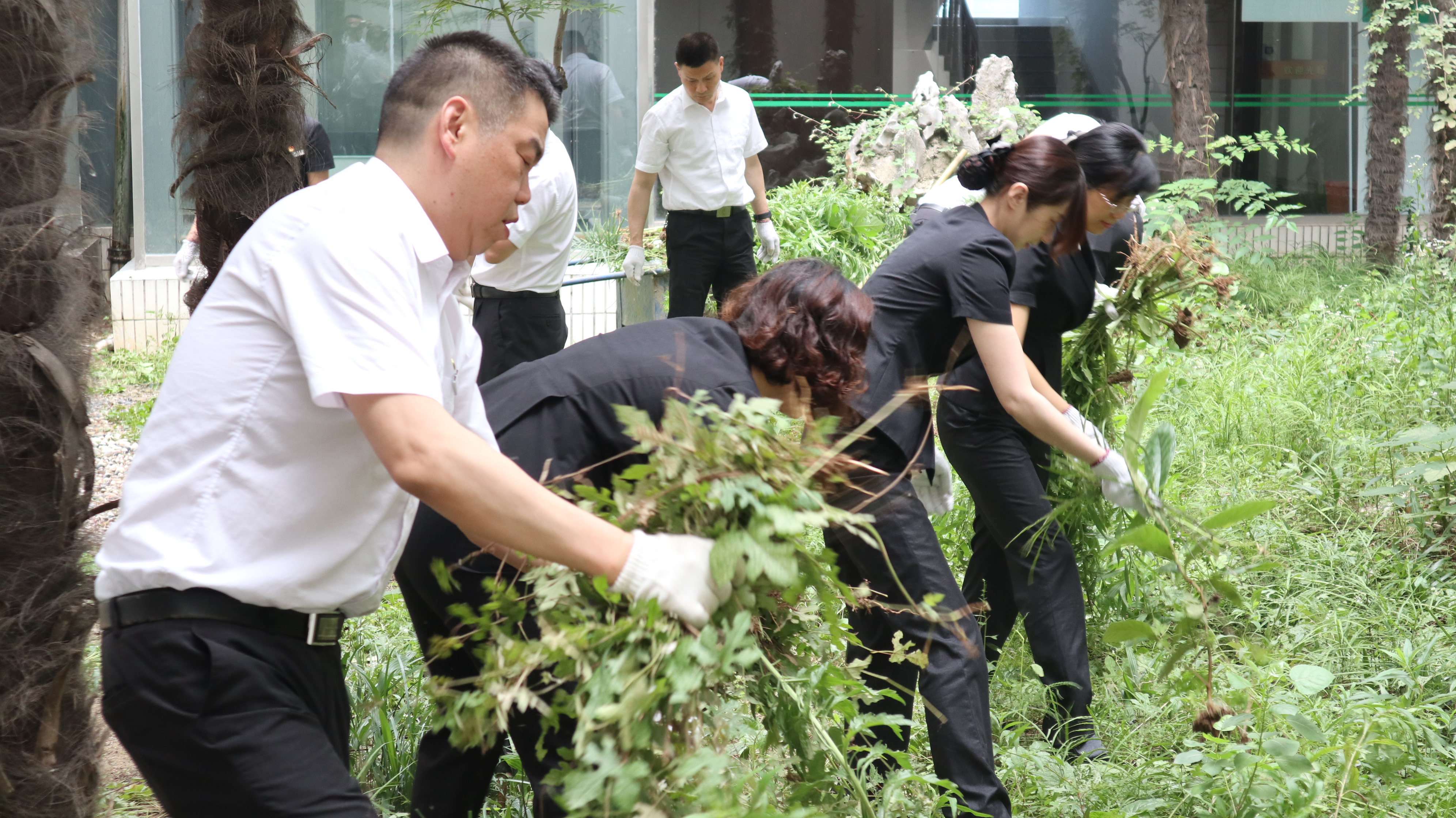 1593673519287216.jpg IMG_3198.JPG