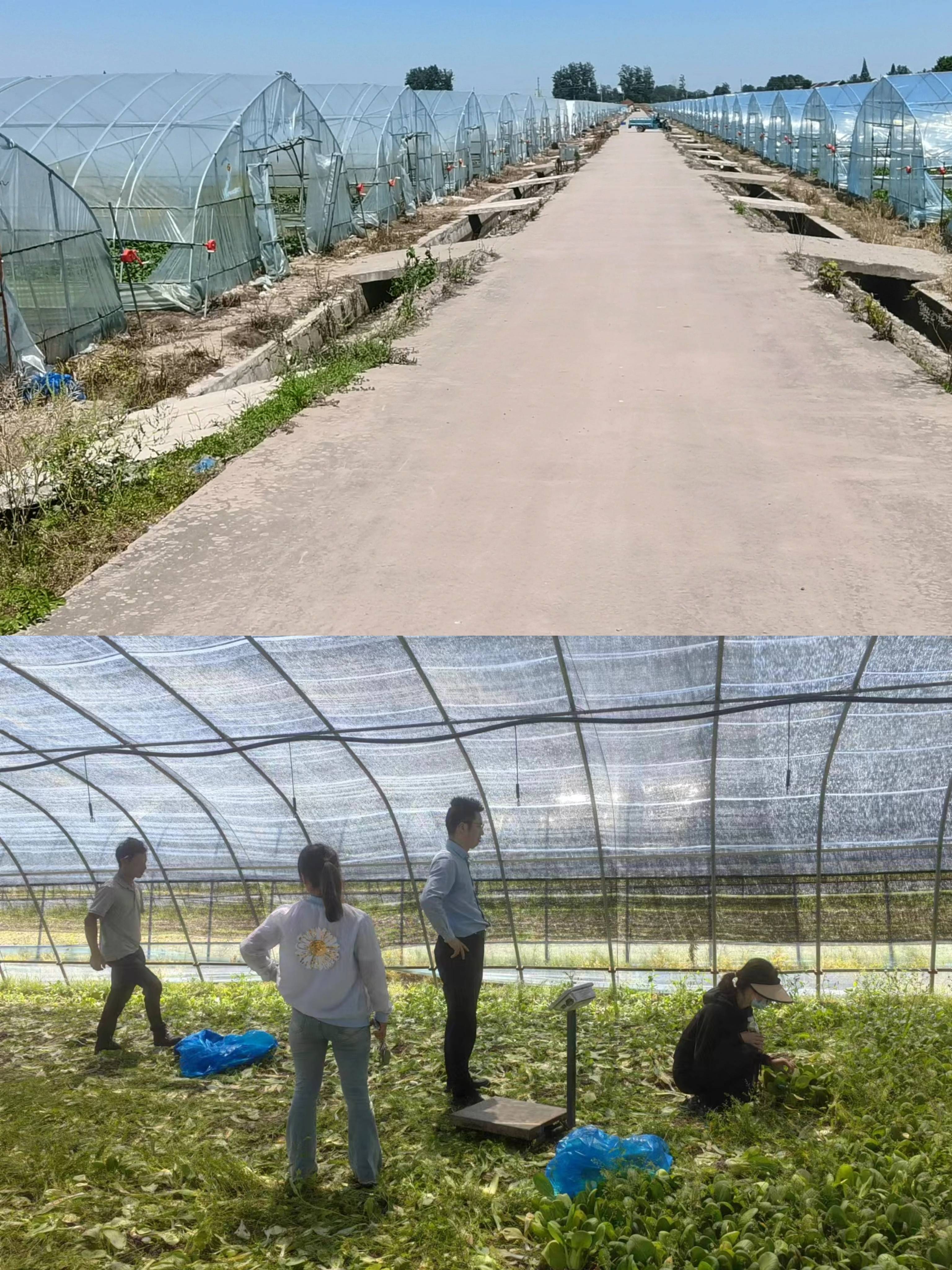 1715853817413038.jpg 58c0b8c177a15a70721828eab14283e(1).jpg