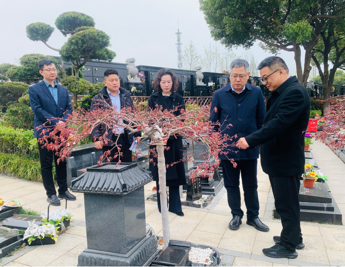 1743411613419100.png 1743411642112.png